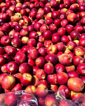 Export Quality Fresh Red Beaut Apples for sale - NINE FRUITS EXPORTS (PTY) LTD - South Africa