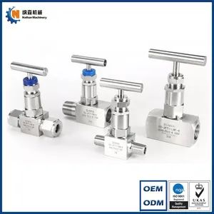 Customized Hydraulic Service Seat Straight Type Stainless Steel 316 6000 Psi Bar Stock 1/8" Female NPT Connection Two Way Needle Valves - Ningbo Nathan Machinery Co., Ltd. - China