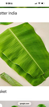 Fresh banana leaves for food packaging from Avlog Trading Pvt ltd Fresh banana leaves for food packaging - Avlog Trading Pvt ltd - India