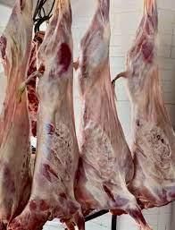 Goat caracass - Dafta Trading plc - Ethiopia