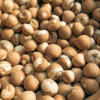 Whole Betel Nut - PT Vale Agrovia Nusantara - Indonesia