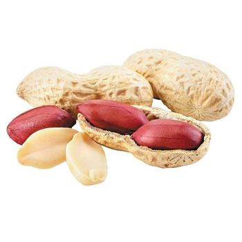 Peanut raw organic peanuts ground nut in shell roasted peanut -  CALIPSO POLSKA SP Z OO  - Poland