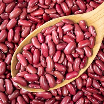 Export Quality Red beans For Wholesale Buyers Offering Clean Sorting High Nutrition And Trusted Bulk Red beans Supply - AGRO AFRIQUE COMPANY LIMITED - Tanzania