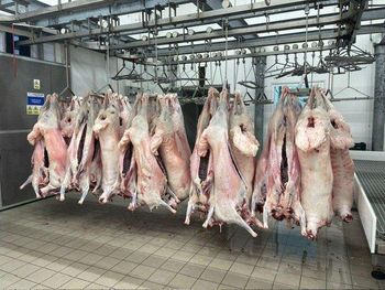 Lamb Meat, dried fruits, pruness, Rasins, vegetabiles,  Weight (kg) 20 Feature холодильник Storage Type - Sevanatur - Germany