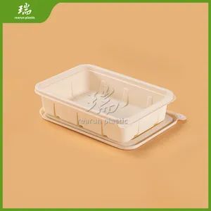 Rearun Takeaway Food Box China Manufacturers Biodegradable Disposable Lunch Box Food Packaging Lunch Box - Qingdao Rearun Industrial Co., Ltd. - China