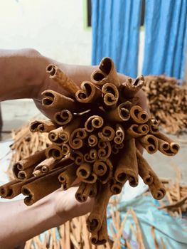 Cassia / Cinnamon Stick / Quill - PT NAZRA BERKAH EXPORT - Indonesia