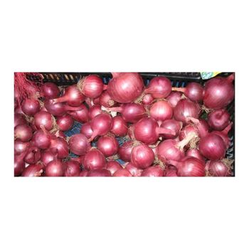 NEW BIG SALE ONION RED / SEASON / ALL SIZES AVAILABLE - HIGHPROFILE AGRICULTURE SERVICES LIMITED - Tanzania