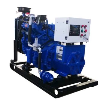 30kw CHP Biogas Generator - Shandong Pulita New Energy Technology Co., Ltd. - China