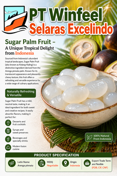 Kolang Kaling Indonesia Palm Sugar Raw Kaong for Beverage, Negotiable - PT. Winfeel Selaras Excelindo - Indonesia