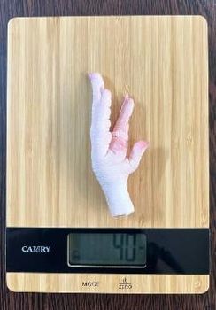 chicken feet - Pishgam Nahadeh Gostar Gognos Co.Ltd - Iran