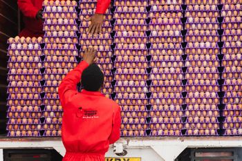 Fresh Eggs  - malter group - Tanzania