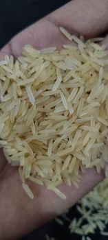 Premium 1509 Basmati: Raw, Steam, Golden & White Sella | 95% Purity | Broken Under 1% | Bulk Export Packaging from India - ANS EXIM ENTREPRENEUR - India