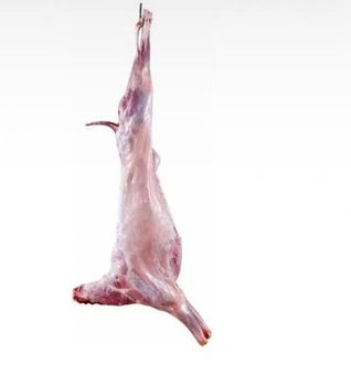 Goat Meat - Allied Courier & Cargo - Pakistan