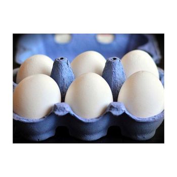 Fresh Chicken Table Eggs/Fresh Chicken Hatching Eggs At Good Prices Farm Fresh Chicken Table Eggs - AMAC GOLD AND DIAMOND METALS SUPPLIER - Germany