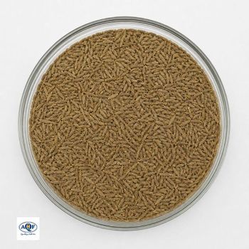 Cumin Seeds | Indian Origin | Pesticide report | EU pass Delivery Form Bag Freshness Level Dried Form Whole, Machine cleaned - AQF Ingredients LLP - India