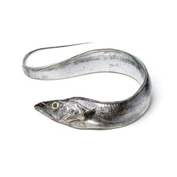 Frozen Ribbon Fish Professionally Frozen Marine Selection Ensuring Fresh Quality Standards For Seafood Importers - TOSOH INTERNATIONAL - South Africa