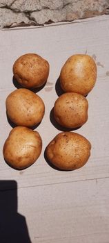 Fresh Pangalengan Potatoes Multiple Sizes (XL/M/S/Mini) – product photo, Potatoes products found from trusted suppliers, wholesalers, manufacturers & exporters Listing