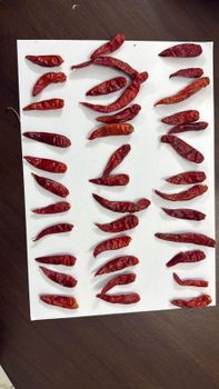 DRIED RED CHILLI HYBRID Origin Pakistan Moisture Content Zero Packing Options 10/15/25 Kg Aflatoxin Control Controlled Quality Standard A-1 - sabri commodities corporation - Pakistan