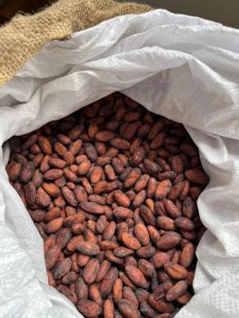 Cocos beans - Frudry - Peru