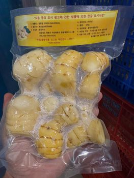 Fresh Galangal Grade A Shelf Life 30 Appearance Fresh Port Ho Chi Minh Weight (kg) 500gr Temperature 5C, 5c Flavor Authentic Depth - HAO QUANG COCONUT ONE MEMBER COMPANY LIMITED - Vietnam