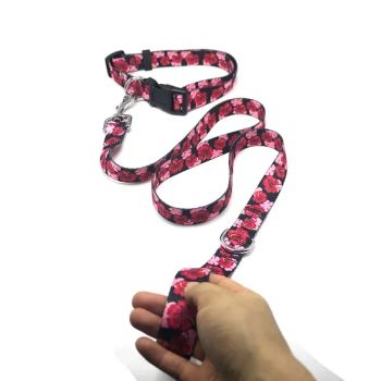 Pet Safe Outdoor Walking Dogs Cats Pet Collars Leashes Brand Jxs MOQ 50PCS Origin China Size 20*900mm Trademark JXS Condition - Fujian Jianxinsheng Intelligent Technology Co., Ltd. - China