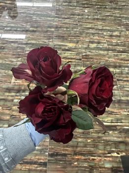 Fresh cut roses Place of Origin China Grade A or B, Grades A And B Bud Type Single Or Multi Head Buds Certification Phytosanitary certificate - CX Trading - Singapore