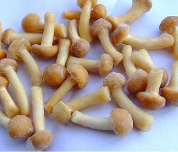 Frozen nameko whole L Grade frozen mushroom from China supplier - Qingdao Sunnywell Imp & Exp Co., Ltd. - China