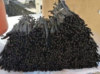 Bourbon Vanilla — Whole Pods / Vanille Bourbon - Gousses entières - WE PLAN - France