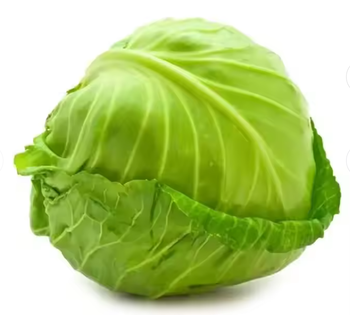 Fresh Cabbage Grade A Shelf Life 3–4 Weeks Type Green/white Cabbage Weight Range 0.8kg–2kg Per Head Packaging 10kg / 15kg Cartons Or Mesh Bags, bag - TRADE NEPAL LLC - United States