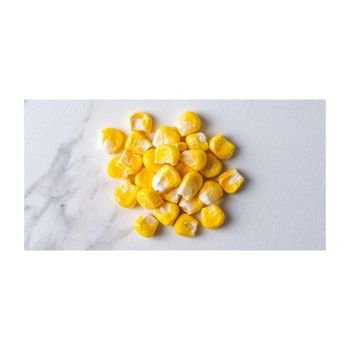 Top grade white corn bulk supply premium maize export quality - HIGHPROFILE AGRICULTURE SERVICES LIMITED - Tanzania