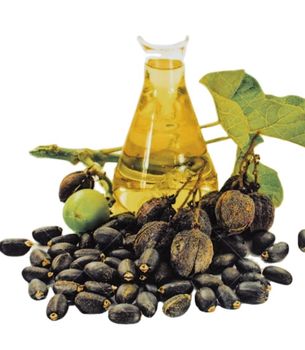 High-Quality Jatropha Oil – Industrial Grade / Biodiesel Feedstock - Trapani Global Trade B.V. - United States