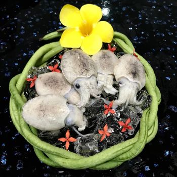 Frozen Round Cuttlefish (Whole Round/ Gutted and Skinless) - Seafood - Hup Sun Marine Products - Malaysia