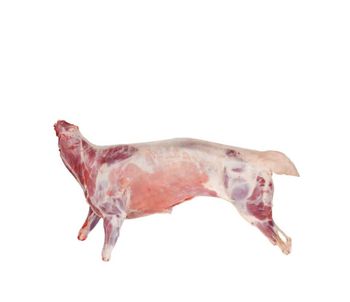 HOT SALE HALAL FRESH / FROZEN GOAT / LAMB / SHEEP MEAT / CARCASS - PK Luxuries  - United States