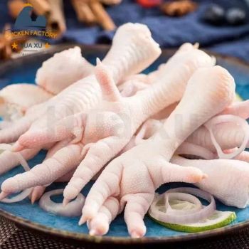Hot Premium Halal Frozen Chicken Feet BQF Vacuum Packed High Protein Nutritious Caffeinated Style Food Grade 10kg Carton Export Quality Ready Supply - Carla Pisselli Commercio - Brazil