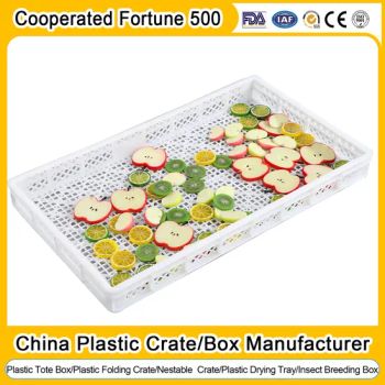Food Grade Gummy Candy 675*675*80mm 810*595*70mm Drying Racks Trays Manufacturer in China - Qingdao Preface Plast Co., Ltd. - China