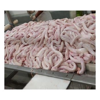 Best Price Frozen Beef Aorta | Frozen Beef Pizzle | Halal Boneless Beef Meat from Exigentelaxia Unipessoal Lda Best Price Frozen Beef Aorta | Frozen Beef Pizzle | Halal Boneless Beef Meat - Exigentelaxia Unipessoal Lda - Portugal