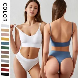 U Shaped Bra OEM Supplier Tummy Control Brief Underwear Lingerie Set - Shantou City Xinshuya Knitting Industrial Co., Ltd - China