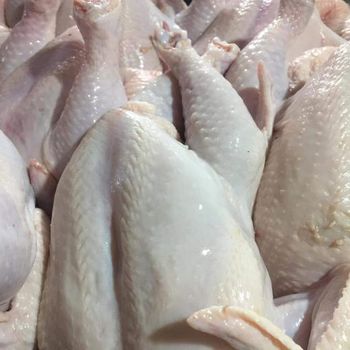 Frozen Chicken Parts - MEME GROUP COMPANY LTD - Cameroon