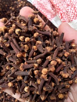 Whole Clove Size Large, Mixed Size Moisture Content Max 13% Oil Content 10–15%, 15–20% Color Bright Reddish, Dark - CV Tiga Pilar Mandala - Indonesia