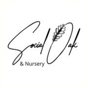 Product - The Social Oak - United States