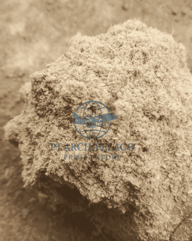 rice bran / cattle food / food industries from Pt Archipelago Prime Export rice bran / cattle food / food industries - Pt Archipelago Prime Export - Indonesia