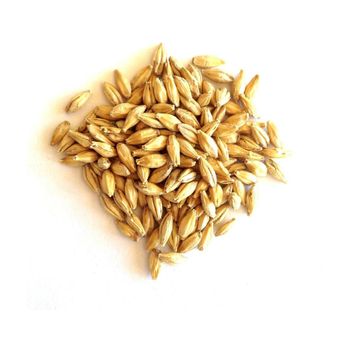 Malted Barley Bulk Supply With Competitive Wholesale Price For Buyers - MASI TRADING GMBH - Germany