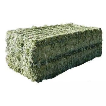 Alfalfa hay offered for export grade trade and substantial volume sourcing – product photo, Hay products found from trusted suppliers, wholesalers, manufacturers & exporters Listing