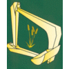 Product - FA. R. DE REGT - Netherlands