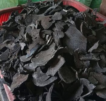 Coconut Shell Charchoal from indonesia Color White, gray Age > 1 Year - 3 Years - Wijaya Embercore Global - Indonesia