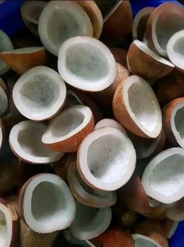 Dry Copra - PT. Faqa Gemilang Jaya - Indonesia