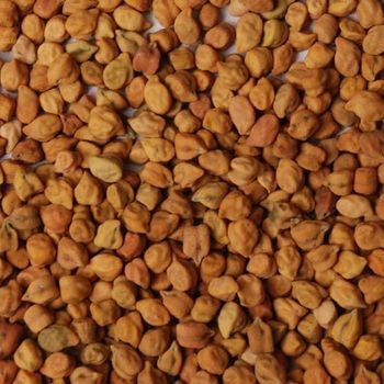 chickpeas - AT plc - Ethiopia