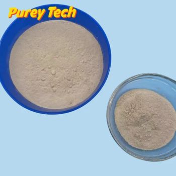 High-Strength Lubricant Geological Exploration Rotary Drilling Bentonite - Pureytech Materials (Shenyang) Co., Ltd - China