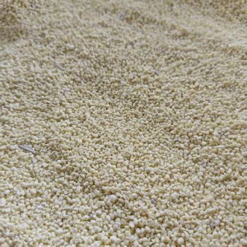 cassava cat litter from Qingdao Wobian Pet Products Co., Ltd. cassava cat litter - Qingdao Wobian Pet Products Co., Ltd. - China