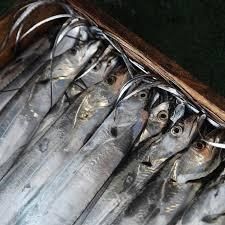 Ribbon Fish - BERG TRADING COMPANY - Netherlands